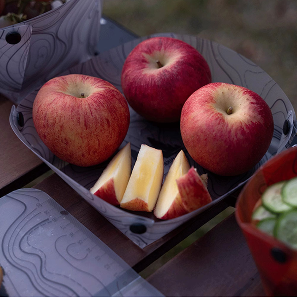 Outdoor lichtgewicht opvouwbaa - Camping Cooking Hob recensie en prijs